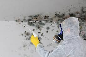 Asbestos and Lead Testing During Mold Inspection in Highland, NY